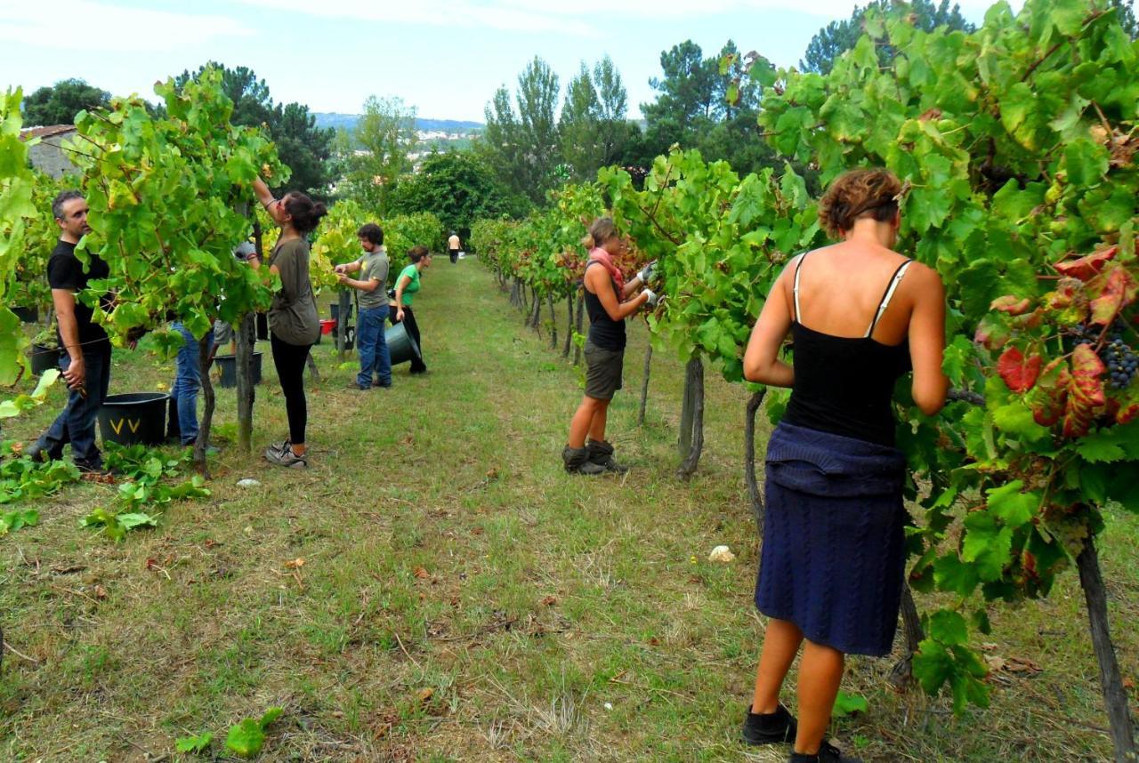 Verde Agua Agroturismo E Agricultura Biologica Couto Buitenkant foto