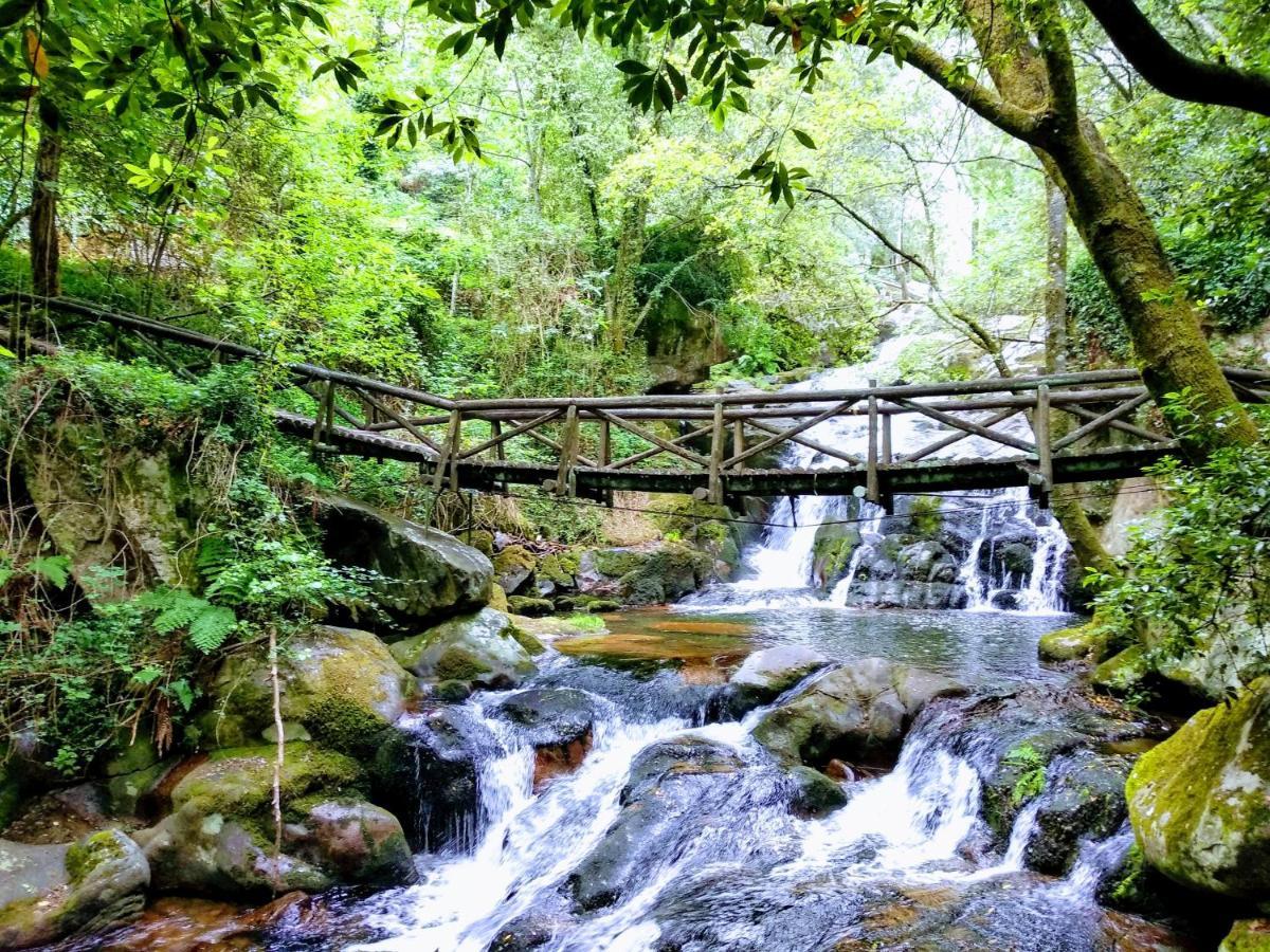 Verde Agua Agroturismo E Agricultura Biologica Couto Buitenkant foto